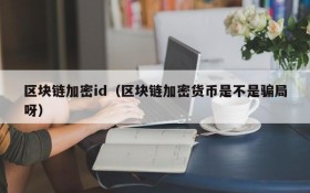 区块链加密id(区块链加密货币是不是骗局呀)