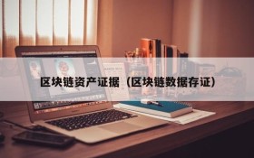 区块链资产证据(区块链数据存证)