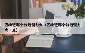 区块链哪个公链潜力大(区块链哪个公链潜力大一点)