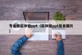 专业做区块链ppt（区块链ppt背景图片）