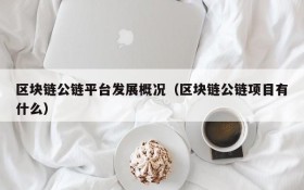 区块链公链平台发展概况(区块链公链项目有什么)
