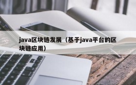 java区块链发展（基于java平台的区块链应用）