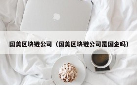 国美区块链公司(国美区块链公司是国企吗)