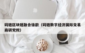 码链区块链融合徐蔚(码链数字经济国际交易商研究院)