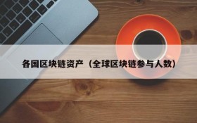 各国区块链资产（全球区块链参与人数）