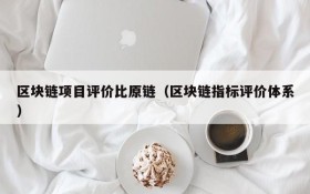区块链项目评价比原链(区块链指标评价体系)