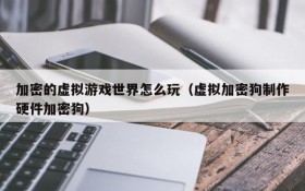 加密的虚拟游戏世界怎么玩（虚拟加密狗制作硬件加密狗）