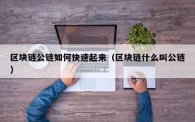 区块链公链如何快速起来(区块链什么叫公链)