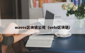 waves区块链公司(velo区块链)