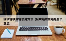 区块链联盟链使用方法（区块链联盟链是什么意思）