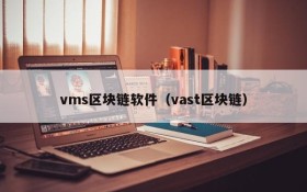 vms区块链软件(vast区块链)