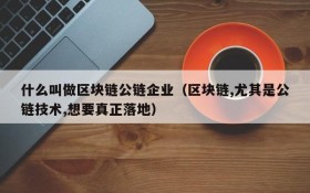 什么叫做区块链公链企业(区块链,尤其是公链技术,想要真正落地)