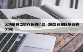 区块链联盟链存在的风险(联盟链和区块链的区别)