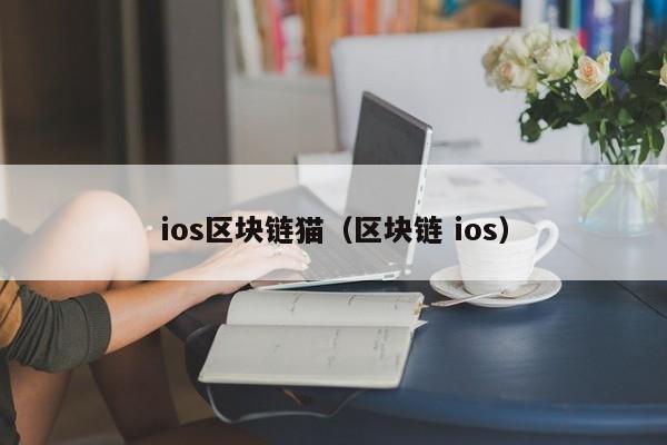 ios区块链猫（区块链 ios）