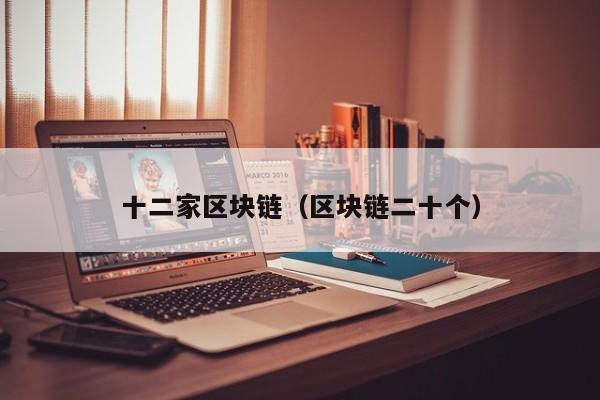 十二家区块链（区块链二十个）