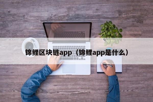 锦鲤区块链app（锦鲤app是什么）