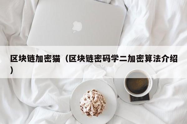 区块链加密猫（区块链密码学二加密算法介绍）