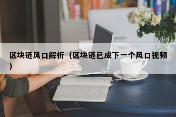 区块链风口解析（区块链已成下一个风口视频）