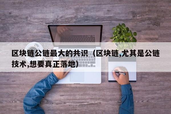 区块链公链最大的共识（区块链,尤其是公链技术,想要真正落地）