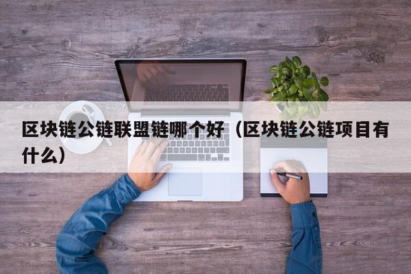 区块链公链联盟链哪个好（区块链公链项目有什么）
