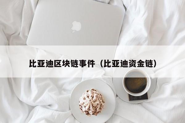比亚迪区块链事件（比亚迪资金链）