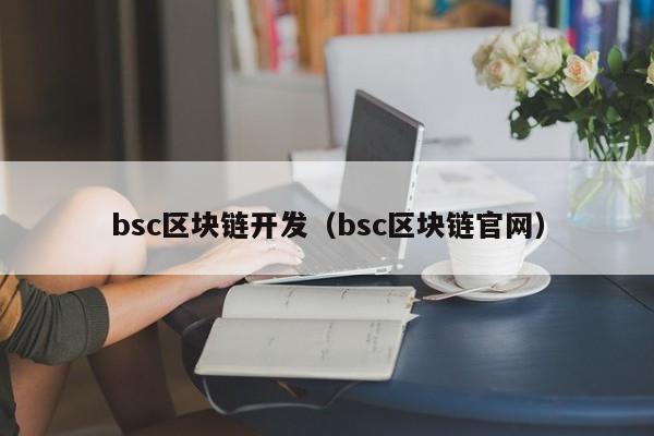 bsc区块链开发（bsc区块链官网）