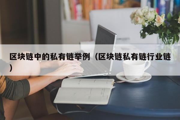 区块链中的私有链举例（区块链私有链行业链）