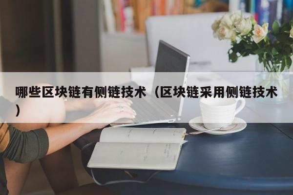 哪些区块链有侧链技术（区块链采用侧链技术）