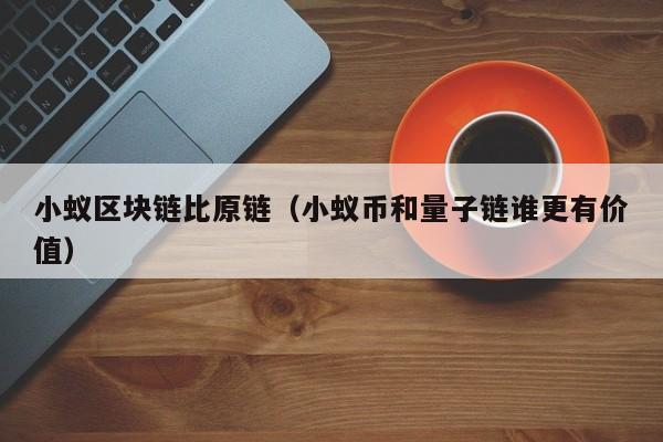 小蚁区块链比原链（小蚁币和量子链谁更有价值）