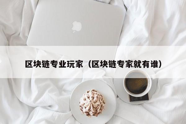 区块链专业玩家（区块链专家就有谁）