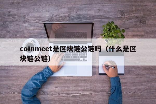 coinmeet是区块链公链吗（什么是区块链公链）