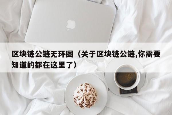 区块链公链无环图（关于区块链公链,你需要知道的都在这里了）