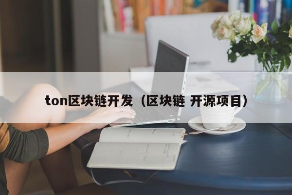 ton区块链开发（区块链 开源项目）