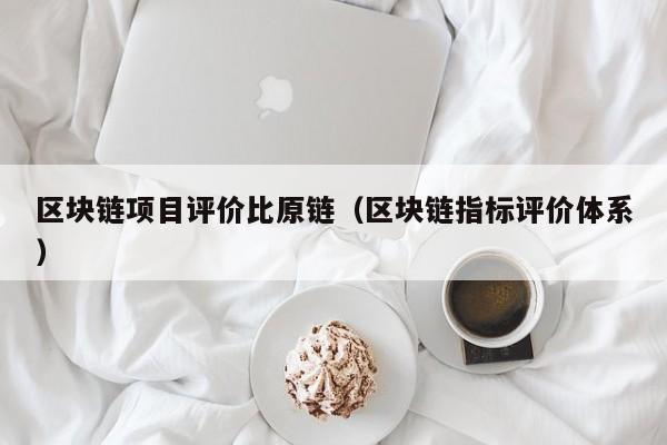 区块链项目评价比原链（区块链指标评价体系）