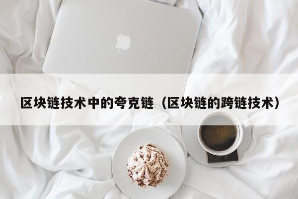 区块链技术中的夸克链（区块链的跨链技术）