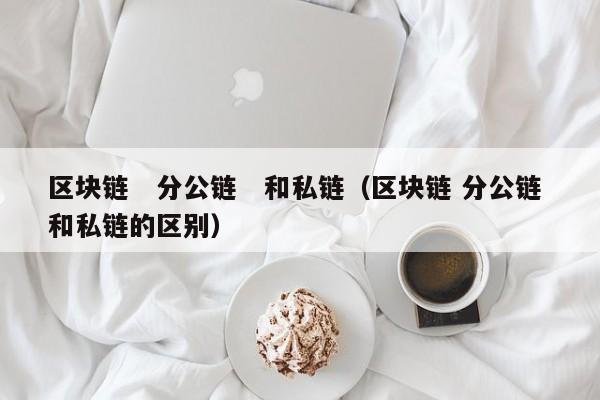 区块链　分公链　和私链（区块链 分公链 和私链的区别）