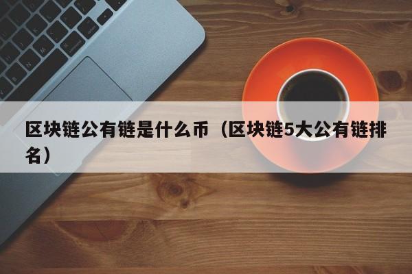区块链公有链是什么币（区块链5大公有链排名）
