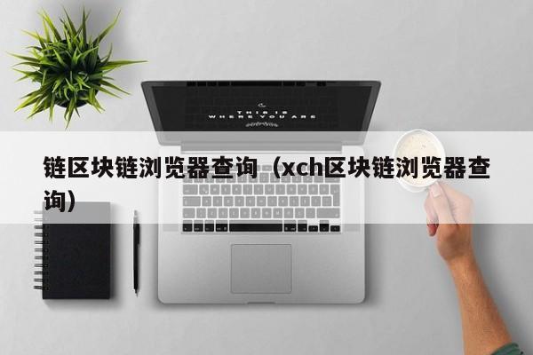 链区块链浏览器查询（xch区块链浏览器查询）