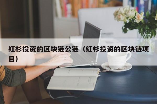 红杉投资的区块链公链（红杉投资的区块链项目）