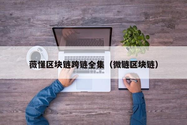 薇懂区块链跨链全集（微链区块链）
