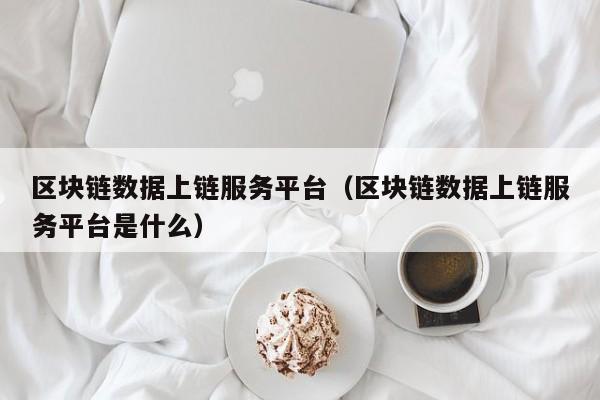 区块链数据上链服务平台（区块链数据上链服务平台是什么）