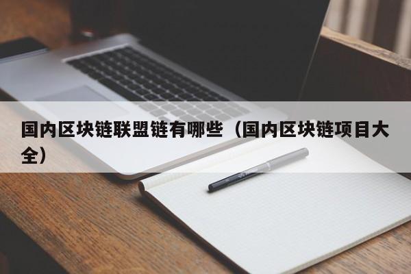 国内区块链联盟链有哪些（国内区块链项目大全）