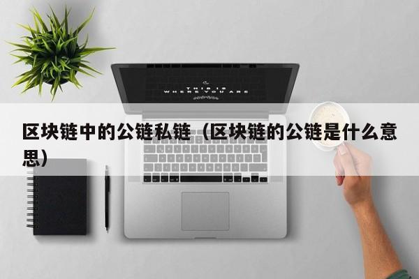 区块链中的公链私链（区块链的公链是什么意思）