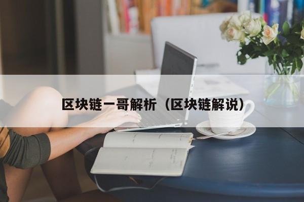 区块链一哥解析（区块链解说）
