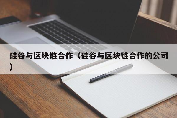 硅谷与区块链合作（硅谷与区块链合作的公司）