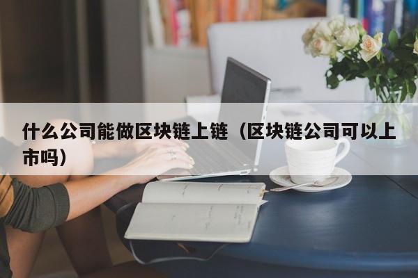 什么公司能做区块链上链（区块链公司可以上市吗）