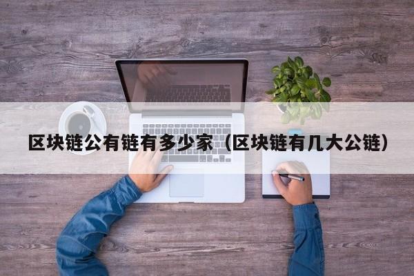区块链公有链有多少家（区块链有几大公链）